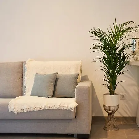 Apartment Medano Ii